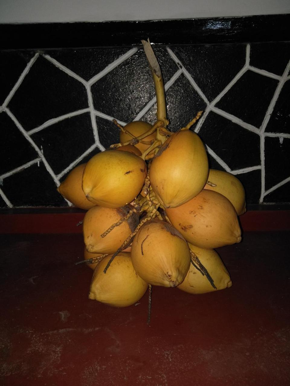 Viraj'S Garden Hotel Tangalle Exterior photo